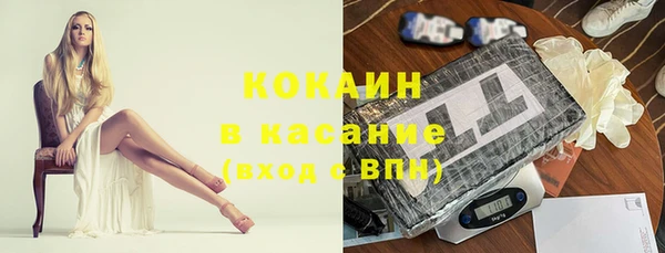 индика Ростов