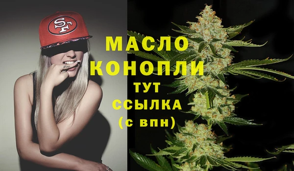 дмт Алексин