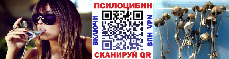 Псилоцибиновые грибы GOLDEN TEACHER  Мещовск 