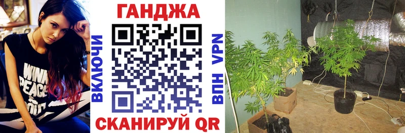 где купить наркоту  Мещовск  Шишки марихуана сатива 